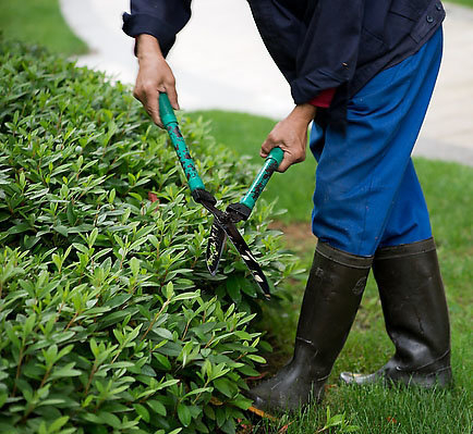 園林生態(tài)養(yǎng)護(hù)