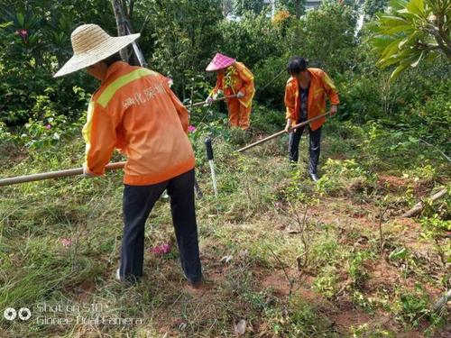 園林生態(tài)養(yǎng)護(hù)
