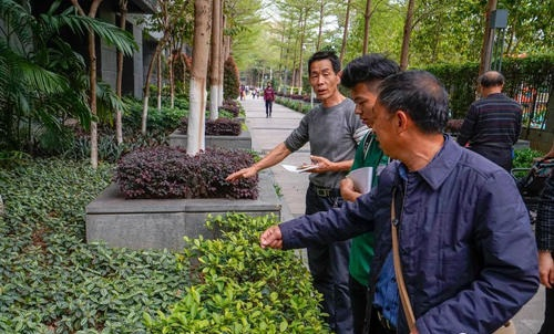 園林生態(tài)養(yǎng)護(hù)